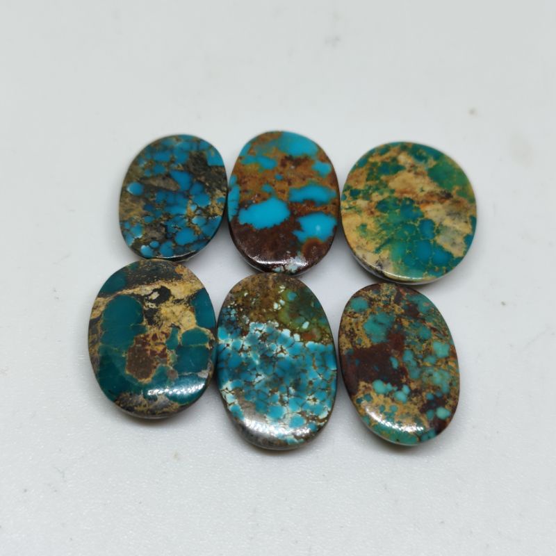 NATURAL PIRUS PERSI,PIRUS IRAN