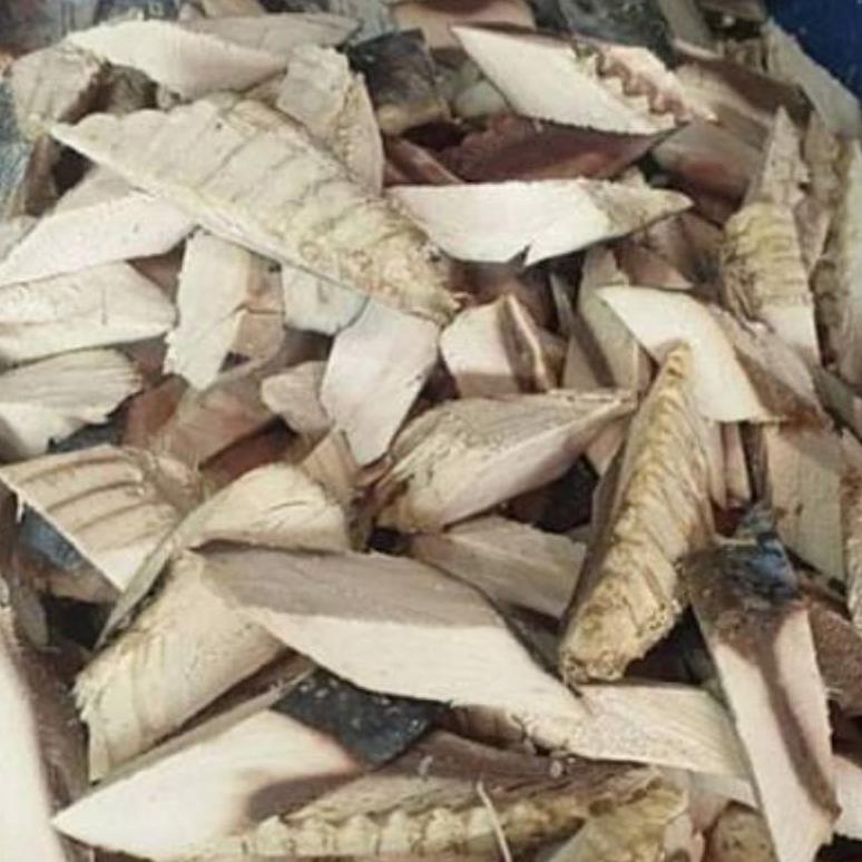 

Ready SUPER HARGA PEDAGANG! Ikan Tongkol 1 Mika 5-7 potong | naga_exspress