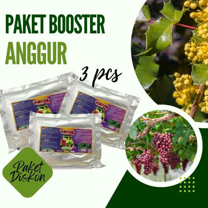 Paket Pupuk Budidaya Anggur Organik, Paket Pupuk Anggur Vegetatif Berkualitas