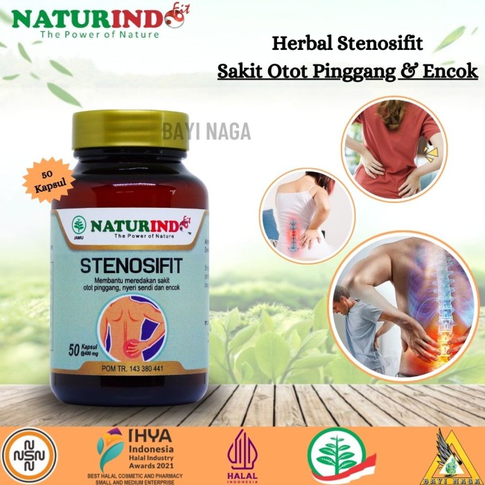 

Obat Herbal STENOSIFIT Naturindo (Spesial Syaraf Pinggang & Encok)