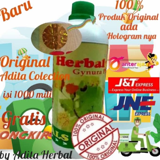 

Herbal gynura plus(daun dewa)