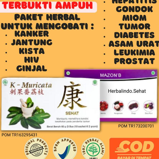 

Obat Herbal MAZON B dan K Muricata Original Penyakit Leukimia