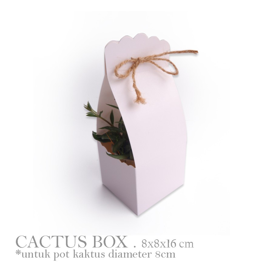 

10 pcs cactus box dus pink kaktus souvenir size 8 x 8 x 16 cm