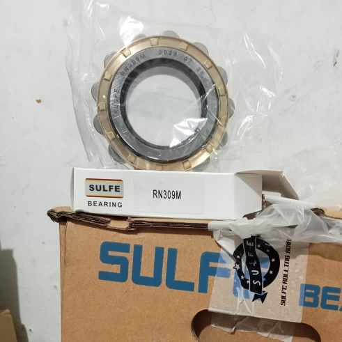 bearing sulfe RN309M
