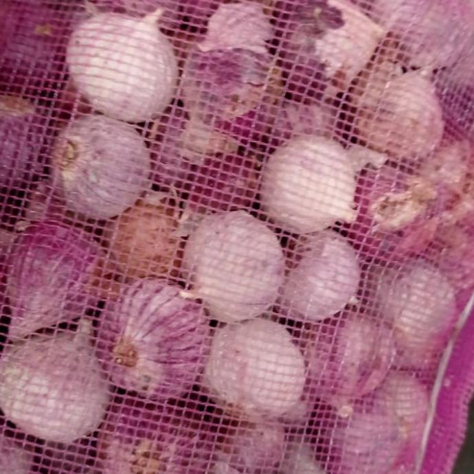 

Bawang Putih Tunggal/Lanang 1 KG - Besar