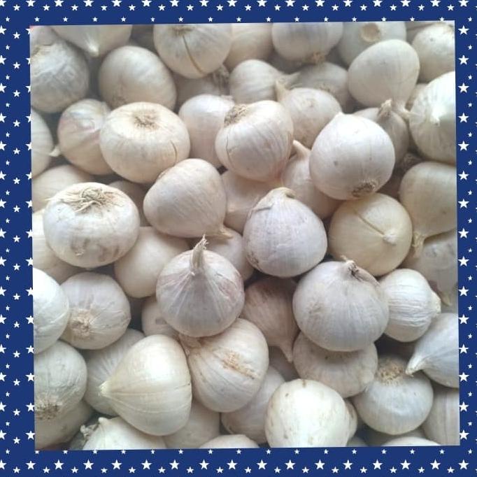

bawang putih tunggal /bawang lanang 1000grm