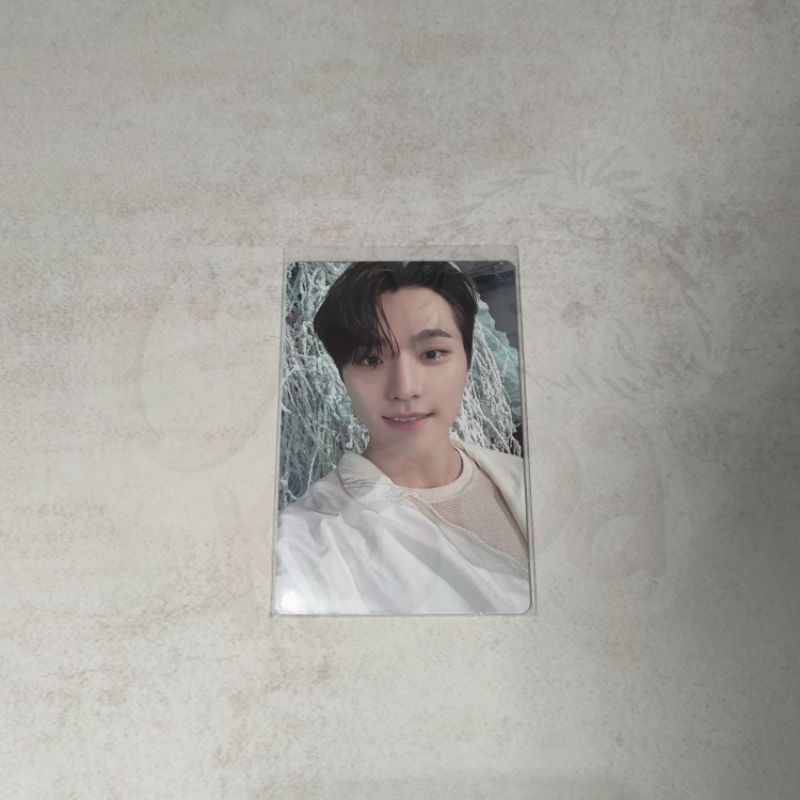 [READY KKUMA] DINO SECTOR17 SEVENTEEN