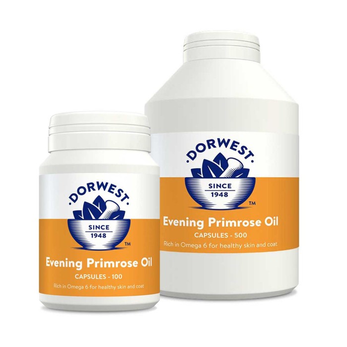 [New] Dorwest Evening Primerose Oil 200 Diskon