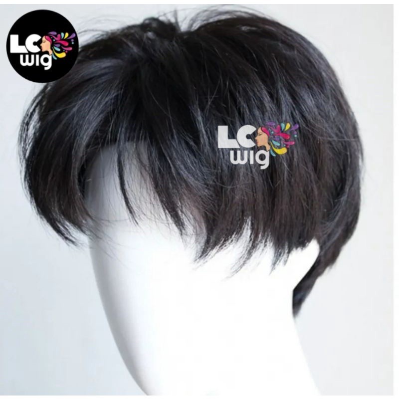 WIG PRIA PENDEK RAMBUT LAKI LAKI TAMPAN