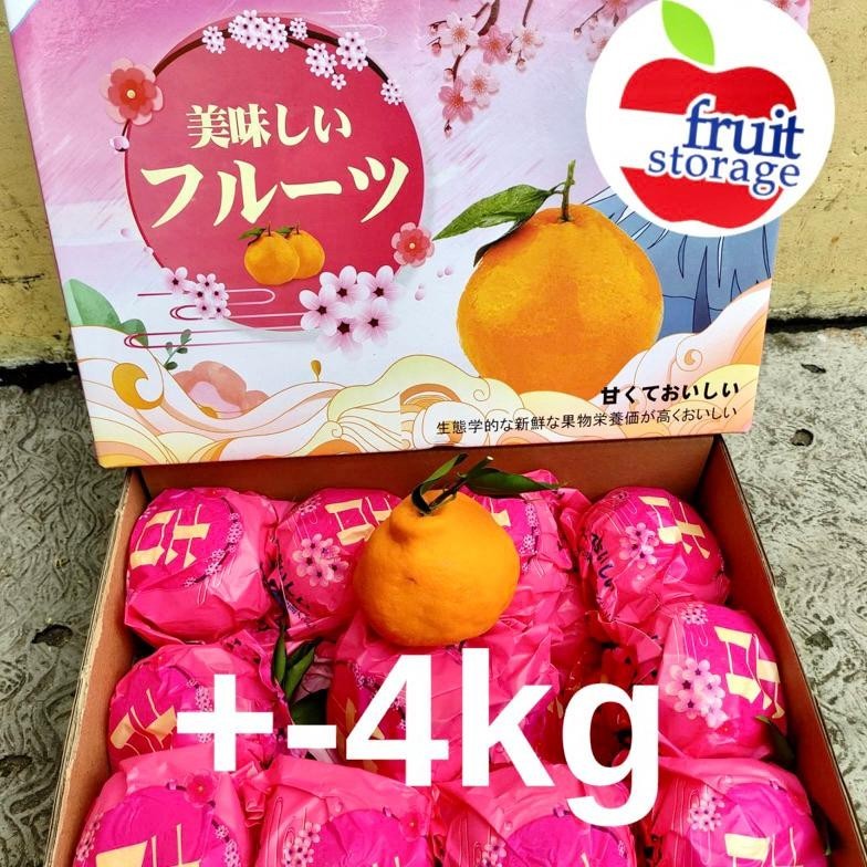 TRY Jeruk Dekopon Papagan Sumo Chunjian Ponkam Premium Giftpack Gift box Imlek Sincia Hampers parcel
