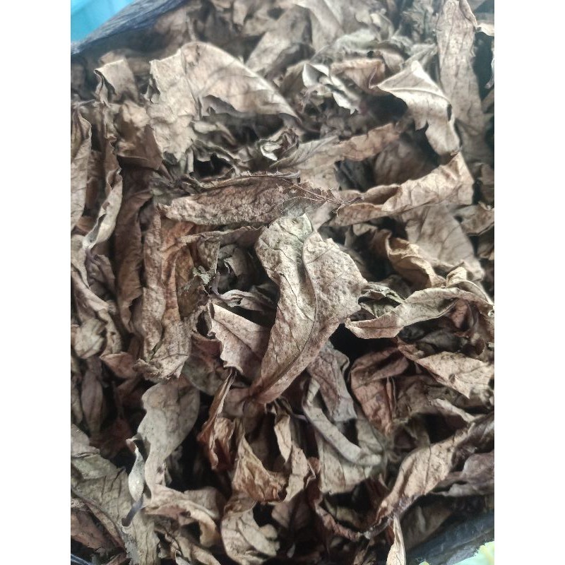 

jual daun bungur 500 gram kering