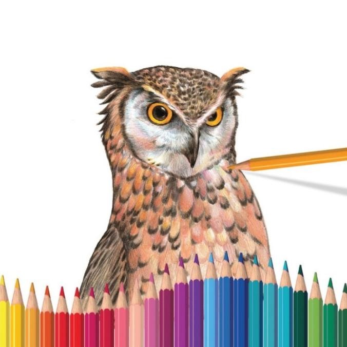 

New! Faber Castell 48 Classic Colour Pencils / Pensil Warna