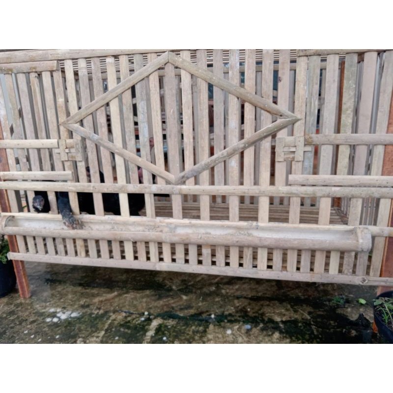 PROMO KANDANG Kandang ayam pembesaran 2 pintu