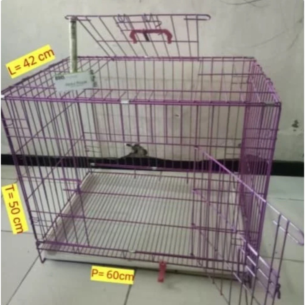 PROMO KANDANG kandang kucing 2 tingkat ukuran P 60 L 40 T50 cm