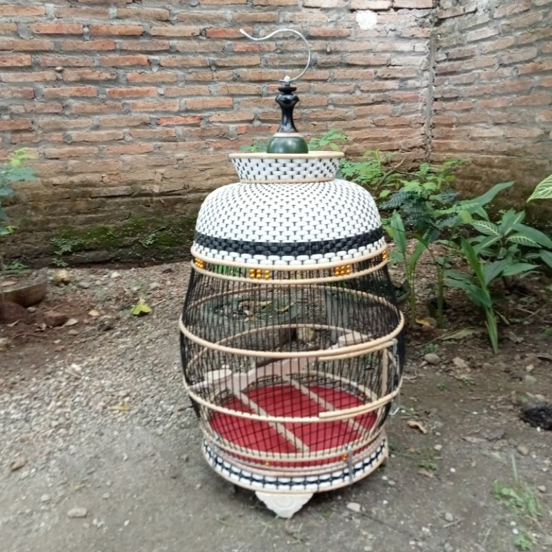 PROMO KANDANG Kandang kutut/sangkar burung perkutut rajut jambu putih