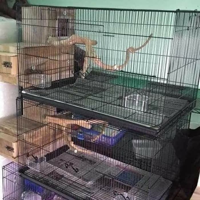 PROMO KANDANG Kandang Ternak fullset glodok Sun conure IRN Monk Hans Falk dll