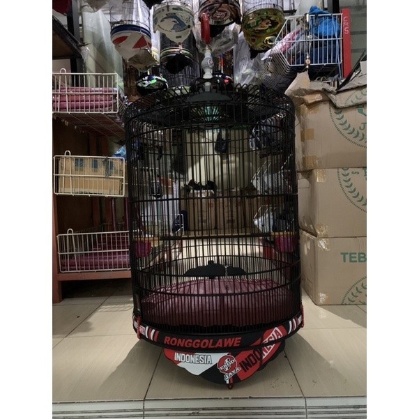 PROMO KANDANG SANGKAR KANDANG MURAI EBOD JAYA PRESCUP RONGGOLAWE PVC DECAL MERAH PUTIH BARU NO 1 DAN