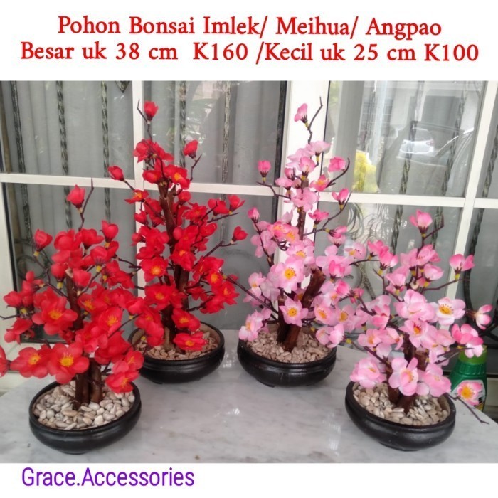 

POHON BUNGA IMLEK ANGPAO MEIHUA SAKURA 25 CM PAKET HIASAN