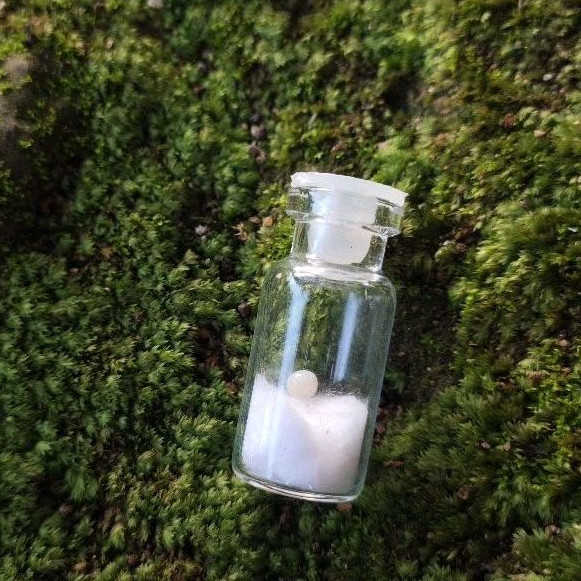 Batu mustika klenceng putih sir alam asli temuan sepuh kuno antik pusaka