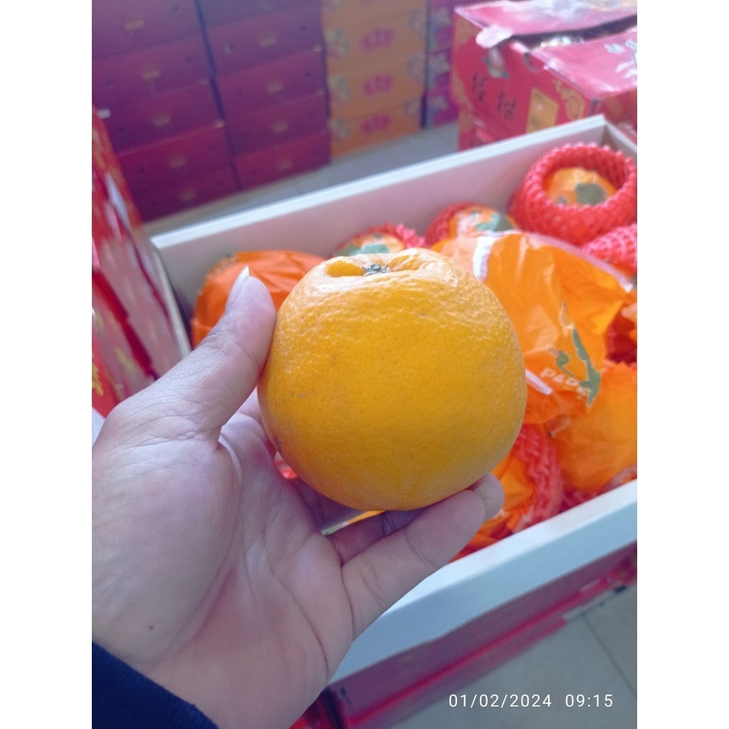 

JERUK PAPAGAN MANIS / JERUK CHUN JIAN 12-15'' - BUAH GIFT BOX IMLEK