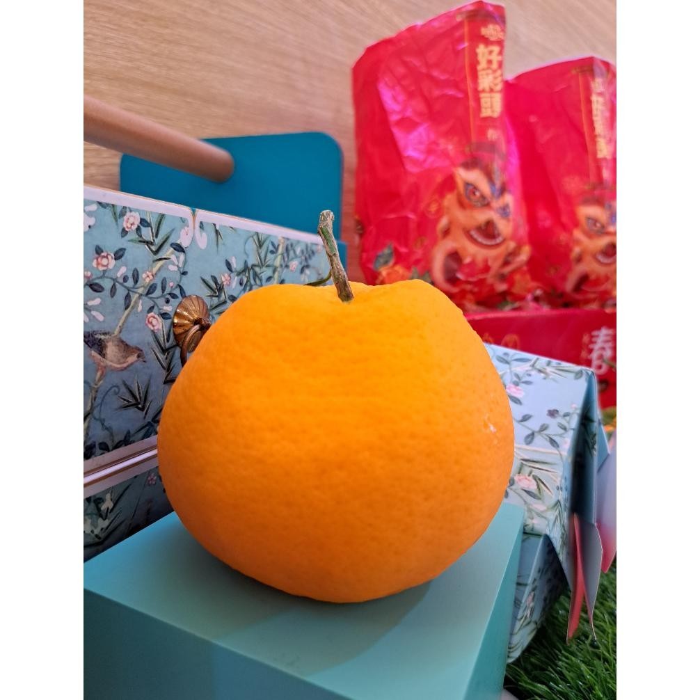 

CNY Jeruk Papagan / Dekopon Seedless KRJG EDISI IMLEK 2024 || HAMPERS IMLEK