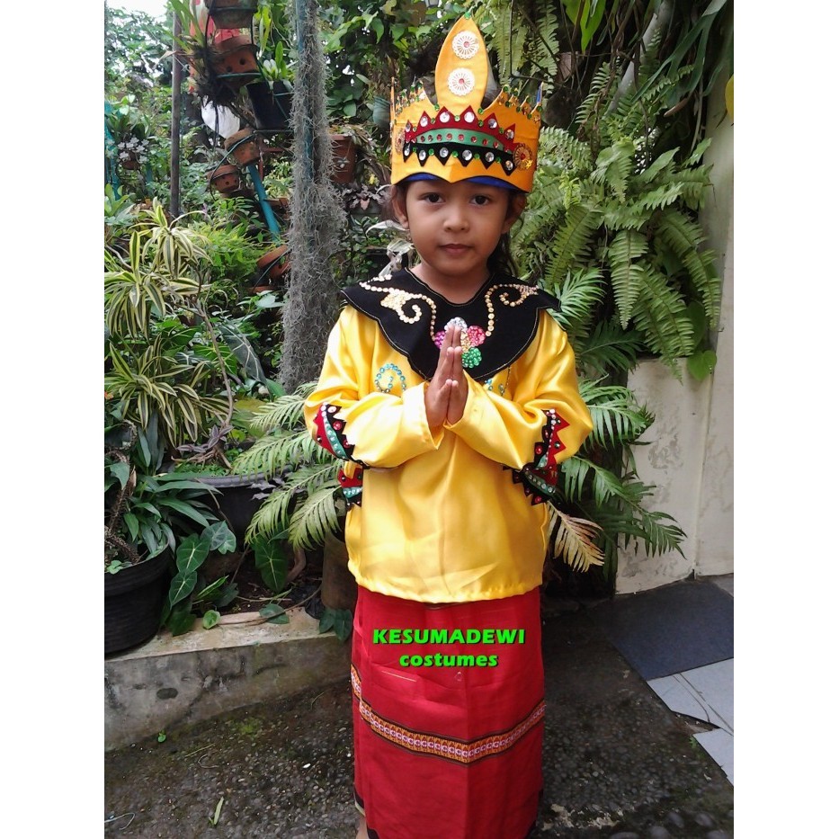 Daerah Banjarmasin Tk Baju Adat Kostum Karnaval Pawai Anak Wanita