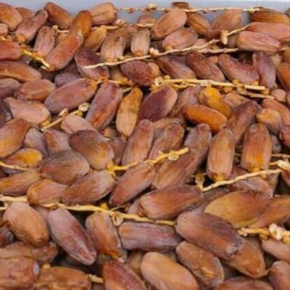 

Kurma - Kurma Tangkai Lyna 5Kg/Kurma Tunisia Tangkai Murah