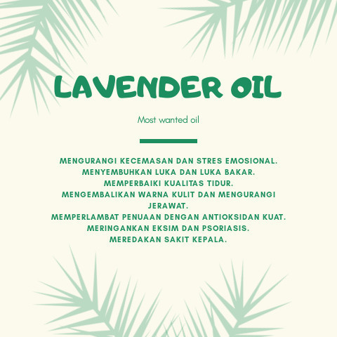 Ready Lavender (Single Oil) minyak atsiri