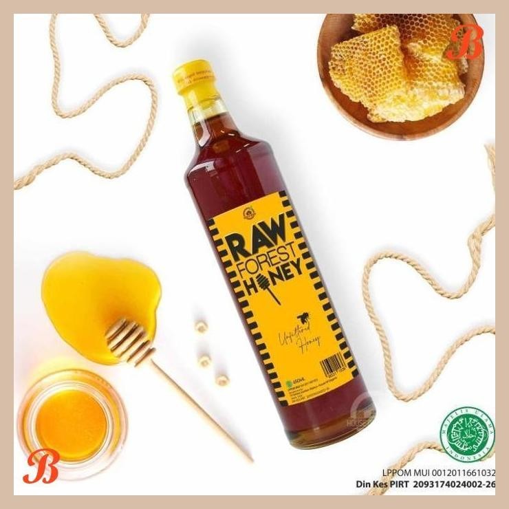 

| HOF | HOUSE OF ORGANIX RAW FOREST HONEY 650 ML - TC