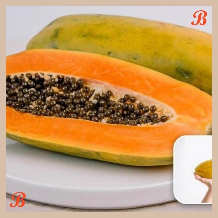 

| HOF | PEPAYA CALIFORNIA 900 GR - 1 KG