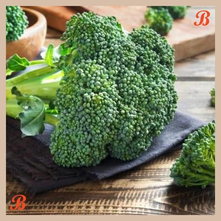 

| HOF | BROKOLI SEGAR ( FRESH BROCCOLI ) 450 - 500 GR