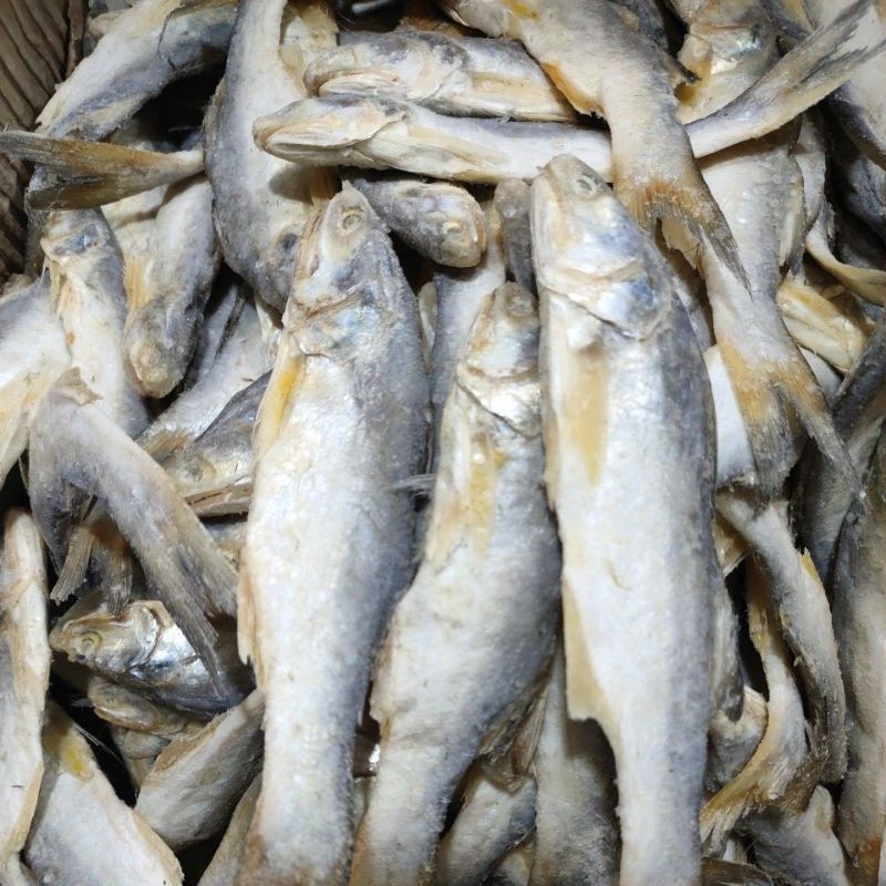 

Ikan Sinangin Medan 250gram JAC