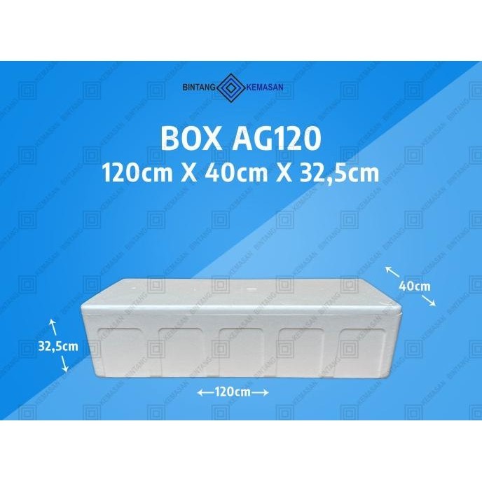

Box Styrofoam Ag120 120 X 40 X 32,5Cm - Foam Box