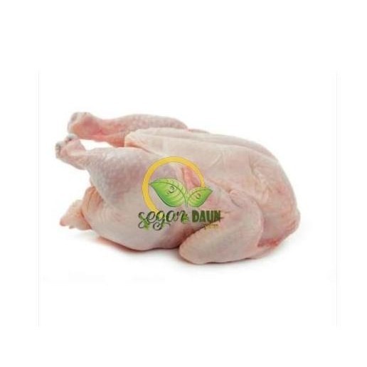 

DAGING AYAM BROILER SEGAR 1KG PEKANBARU