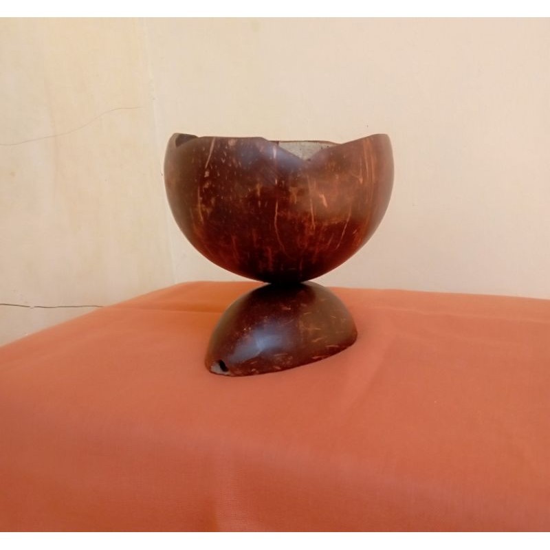 kerajinan tangan pot bunga dari batok kelapa