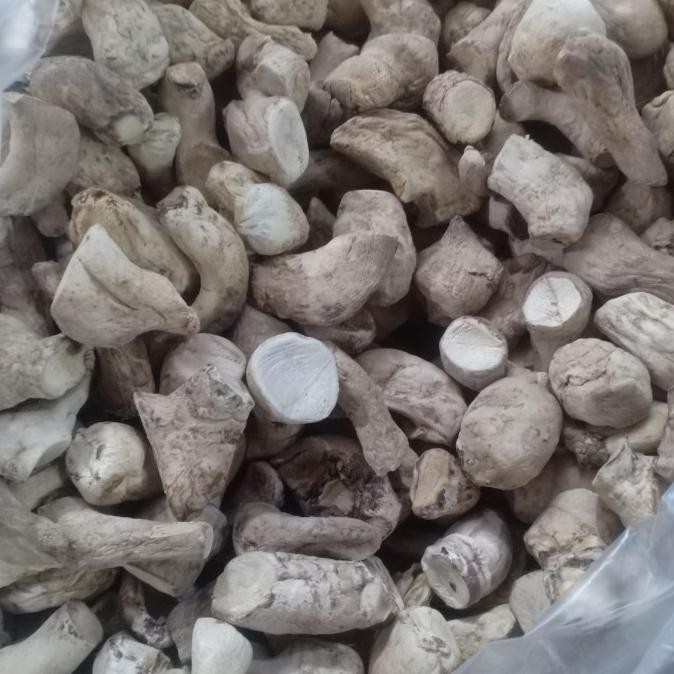 

kaki jamur shitake 1 kg shiitake mushroom hioko xiang gu jiau kering