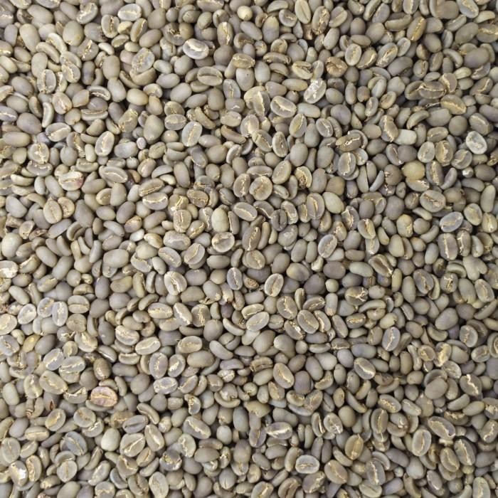 

GREEN BEAN KOPI MENTAH ARABIKA TORAJA ENREKANG SEMI WASH GRADE 1 - 1KG Best Seller