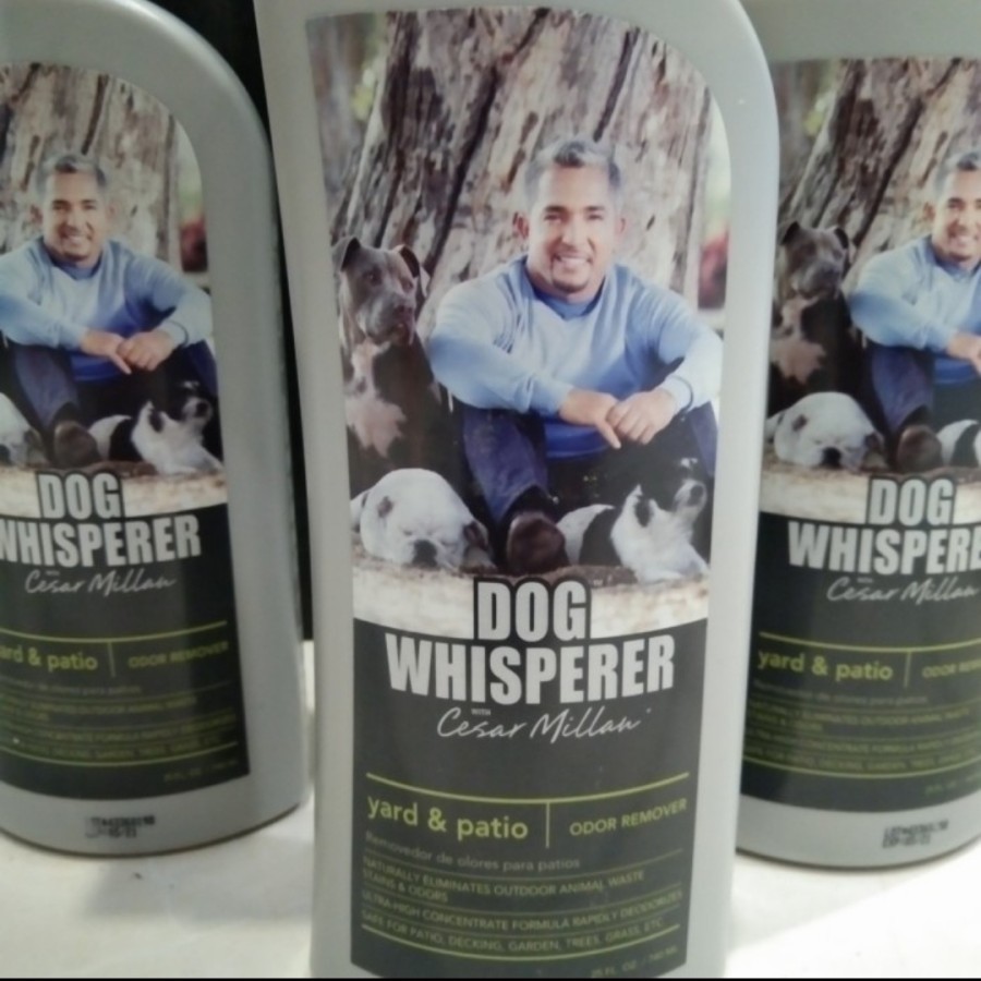 dog whisperer cesar milan