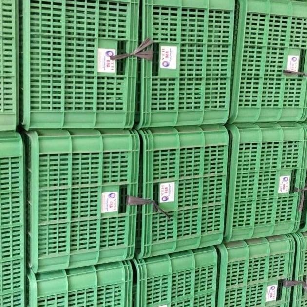 TRH Keranjang YTH Keranjang Plastik Keranjang Industri TERLARIS