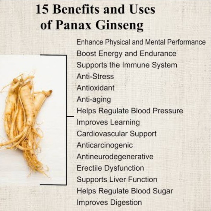 

Panax Ginseng Root Tea Teh Akar Ginseng For Tea And Tisane