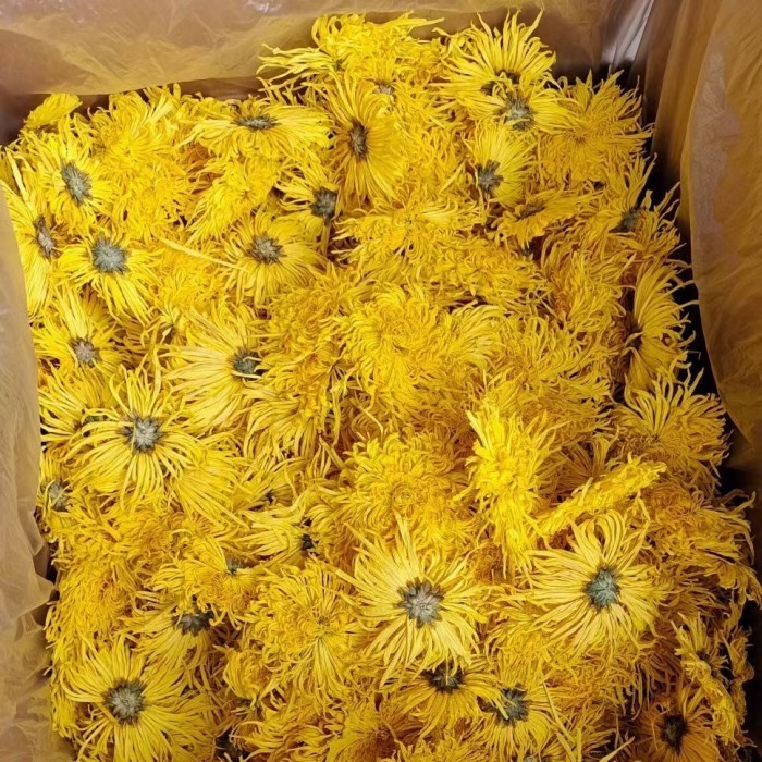

250G 500G Golden Silk Chrysanthemum Flower Tea Teh Bunga Krisan Besar