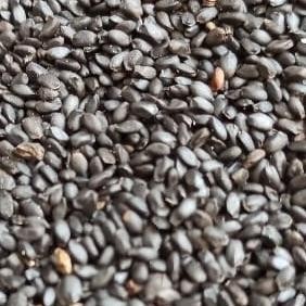 

F67A biji selasih premium 1kg best seller