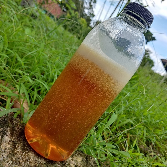 

Madu Hutan Liar Manis Super 1KG Pulau Bangka Nektar Leting / Rempudong