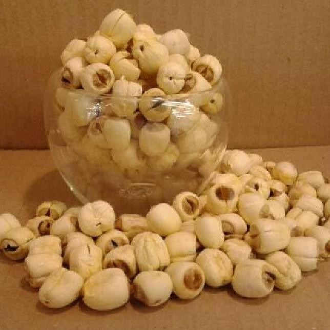 

Biji Teratai (Lien Ci), Loss /100g Best Seller