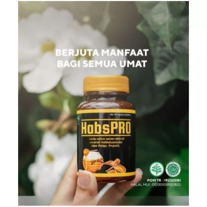 HABSPRO 55kapsul