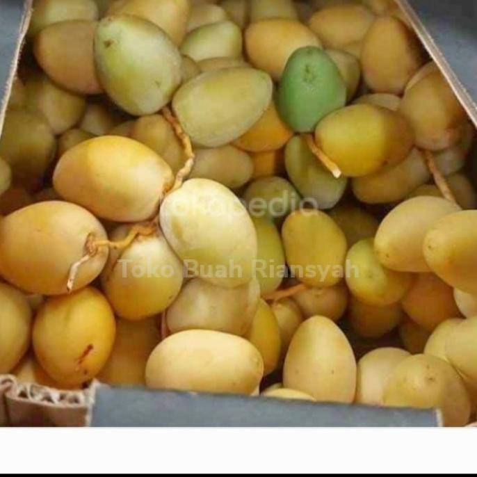 

Kurma Muda Baladi Manis Kurma Baladi Fresh Inforrt