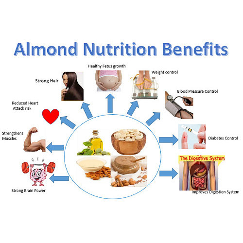 

Almond Mentah Kupas Utuh dengan Kulit Ari 500gr (Raw Whole Almond)