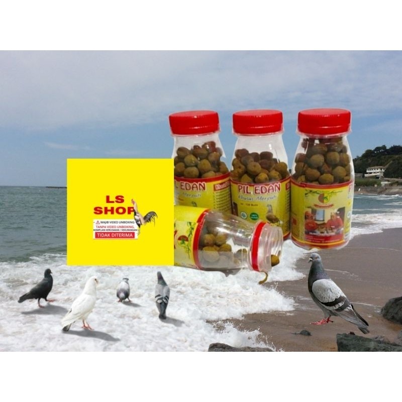 PIL EDAN BURUNG MERPATI OBAT BURUNG MERPATI KOLONGAN TINGGI MERPATI JAUH ORIGINAL