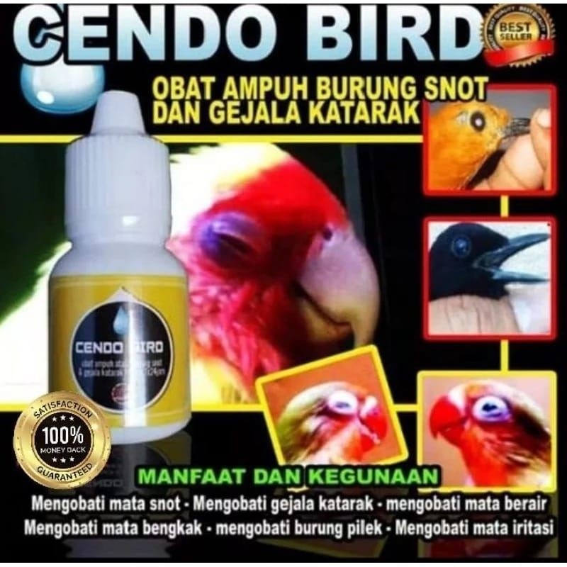 Cendo bird obat burung sakit mata katarak berlendir berair