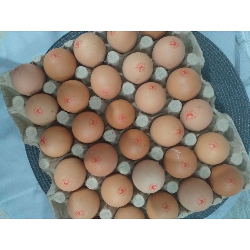 

telur ayam omega royal fresh organik per papan isi 30